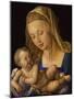 Madonna with the Pear. Child is holding a slice of a pear-Albrecht Dürer-Mounted Giclee Print