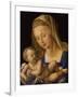 Madonna with the Pear. Child is holding a slice of a pear-Albrecht Dürer-Framed Giclee Print