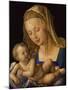 Madonna with the Pear. Child is holding a slice of a pear-Albrecht Dürer-Mounted Giclee Print