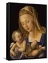 Madonna with the Pear. Child is holding a slice of a pear-Albrecht Dürer-Framed Stretched Canvas