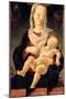 Madonna with the Sleeping Child (Madonna of the Zodiac)-Cosmè Tura-Mounted Giclee Print
