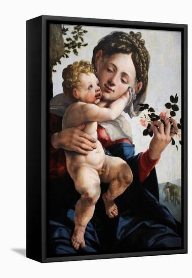 Madonna with Wild Roses, C. 1530-Jan van Scorel-Framed Stretched Canvas