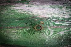 The Green Wood Texture with Natural Patterns-Madredus-Photographic Print
