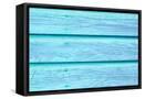 Framed Canvas