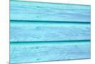 Wood Mount