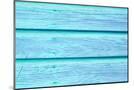 Wood Mount