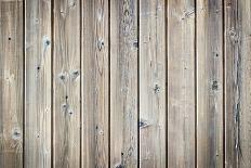 The Old Wood Texture with Natural Patterns-Madredus-Photographic Print