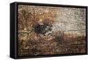 Framed Canvas