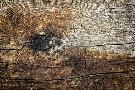 Laminate