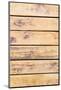 Wood Mount