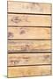 Wood Mount