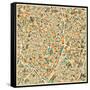 Madrid Map-Jazzberry Blue-Framed Stretched Canvas