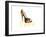 Madrid Shoe-Elle Stewart-Framed Art Print