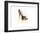 Madrid Shoe-Elle Stewart-Framed Art Print