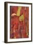 Madrona Bark II-Kathy Mahan-Framed Photographic Print