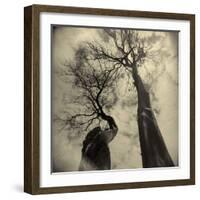 Madrona Trees by Kevin Cruff-Kevin Cruff-Framed Photographic Print