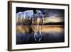 Maefewgvp-Mark Ashkenazi-Framed Giclee Print