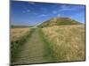 Maes Howe Chambered Cairn, Dating from 2700 BC, Mainland, Orkney Islands, Scotland, UK-Patrick Dieudonne-Mounted Photographic Print