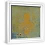 White Frame