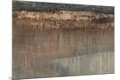 Wood Mount
