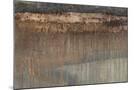 Wood Mount