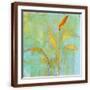 Brown Frame