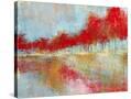Stretched Canvas