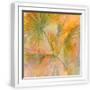 White Frame