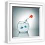 White Frame