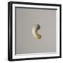 Magatama-null-Framed Giclee Print