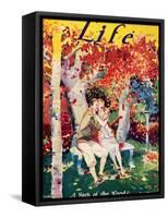 Magazine: Life, 1925-null-Framed Stretched Canvas