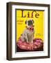 Magazine: Life, 1926-null-Framed Giclee Print