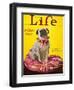 Magazine: Life, 1926-null-Framed Giclee Print