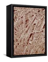 Magazine paper-Micro Discovery-Framed Stretched Canvas