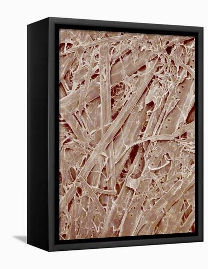 Magazine paper-Micro Discovery-Framed Stretched Canvas