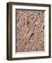 Magazine paper-Micro Discovery-Framed Photographic Print