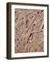 Magazine paper-Micro Discovery-Framed Photographic Print