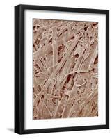 Magazine paper-Micro Discovery-Framed Photographic Print