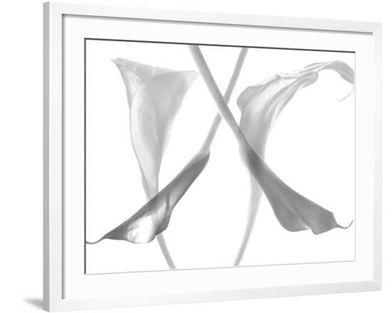 Framed Photographic Print, , large