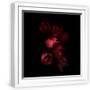 White Frame