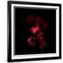 Gramercy Black