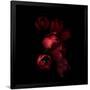 Gramercy Black