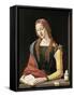 Magdalene-Piero di Cosimo-Framed Stretched Canvas