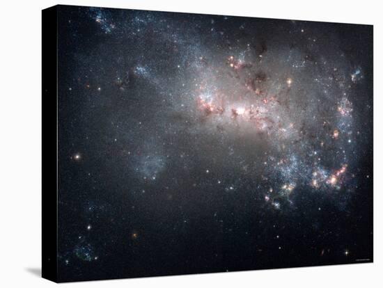 Magellanic Dwarf Irregular Galaxy NGC 4449 in the Constellation Canes Venatici-Stocktrek Images-Stretched Canvas