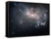 Magellanic Dwarf Irregular Galaxy NGC 4449 in the Constellation Canes Venatici-Stocktrek Images-Framed Stretched Canvas