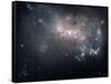 Magellanic Dwarf Irregular Galaxy NGC 4449 in the Constellation Canes Venatici-Stocktrek Images-Framed Stretched Canvas