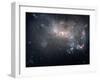 Magellanic Dwarf Irregular Galaxy NGC 4449 in the Constellation Canes Venatici-Stocktrek Images-Framed Premium Photographic Print