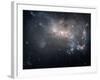 Magellanic Dwarf Irregular Galaxy NGC 4449 in the Constellation Canes Venatici-Stocktrek Images-Framed Photographic Print