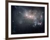 Magellanic Dwarf Irregular Galaxy NGC 4449 in the Constellation Canes Venatici-Stocktrek Images-Framed Photographic Print