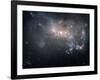 Magellanic Dwarf Irregular Galaxy NGC 4449 in the Constellation Canes Venatici-Stocktrek Images-Framed Photographic Print